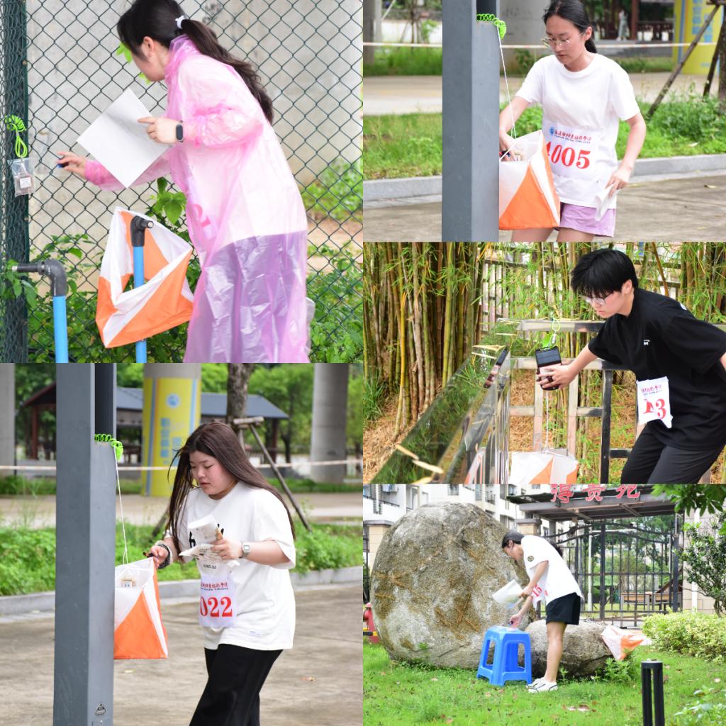 imageMerge2025-05-20 15-10-07.png