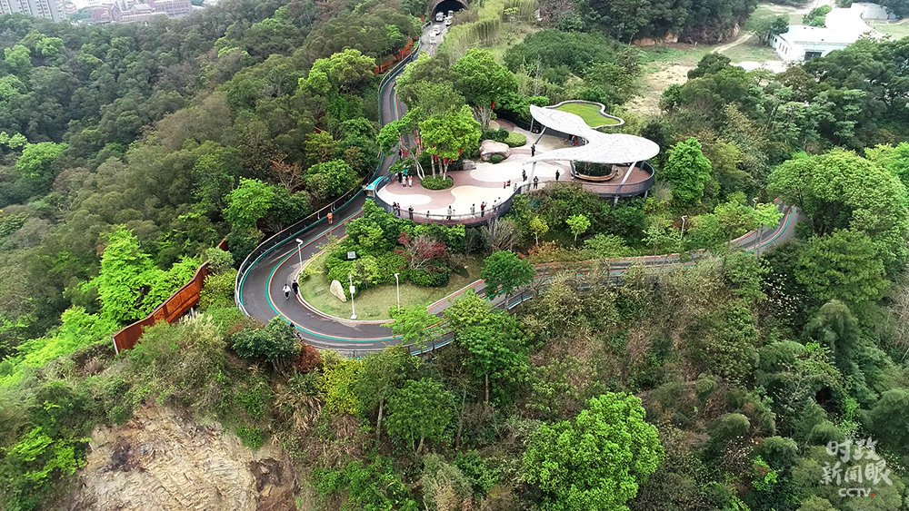 △郊野福道日??土髁棵刻旒s1.3萬人次。(總臺央視記者范本輝拍攝)